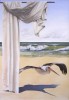 L'envol du pélican L'envol du pélican