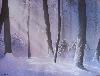 neige illuminée neige illuminée