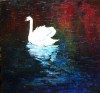 Un cygne, un soir