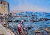 Brustier : les Oursins de Collioure