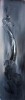 Carbon element...