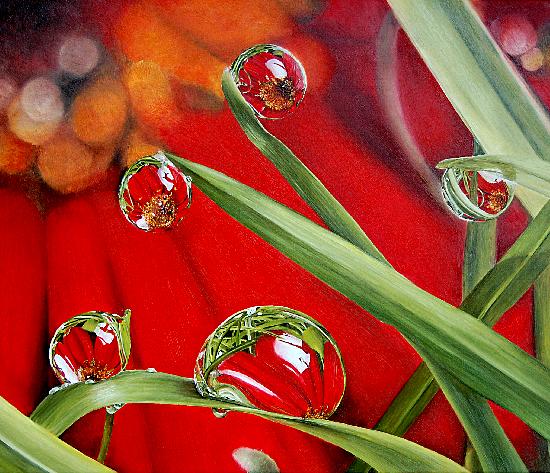 artwindow - huile sur toile de lin F8