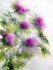 Impression florale
