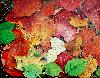 Automne � Nikko Japon