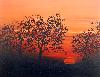 Coucher de Soleil
