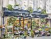Fleuriste Allure et Fleurs