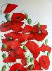les coquelicots