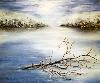 Matin sur le lac