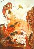 Eclosion Dor�e