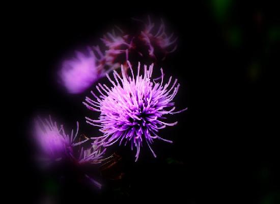 photographie artwindow - photographie
