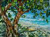 Raisinier � Mullet Bay