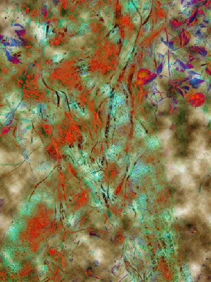photoscolor/Impression sur toile PVC ou Canvas Largeur maxi 120cm artwindow - photoscolor/Impression sur toile PVC ou Canvas Largeur maxi 120cm