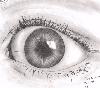 Oeil