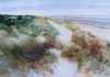 PROMENADE DANS LES DUNES PROMENADE DANS LES DUNES