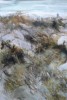 dunes