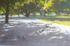 ombres et soleil au parc ombres et soleil au parc