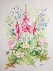 Bouquet Sauvage