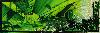 Greenpers
