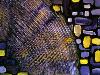 Chemin jaune et violet