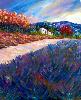 Lavandes en Provence
