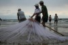 les p�cheurs de Vung Tau