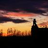 TORREILLES