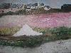 marais salants