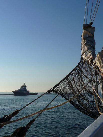 un séjour sur le voilier l'étoile de la marine nationale, j'ai eu la chance de voir l'abeille bourbon artwindow - un séjour sur le voilier l'étoile de la marine nationale, j'ai eu la chance de voir l'abeille bourbon