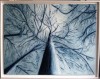 Regard vers la lumi�re
