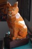 le chat