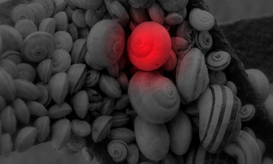 photo artwindow - photo
