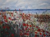 Coquelicot bord de mer