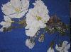 FLEURS DE CERISIER