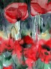 orangebleue : coquelicots
