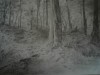 Le sentier de randonn�e