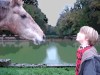 le cheval et l'enfant
