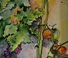stan : tomates et raisins