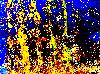 goldream